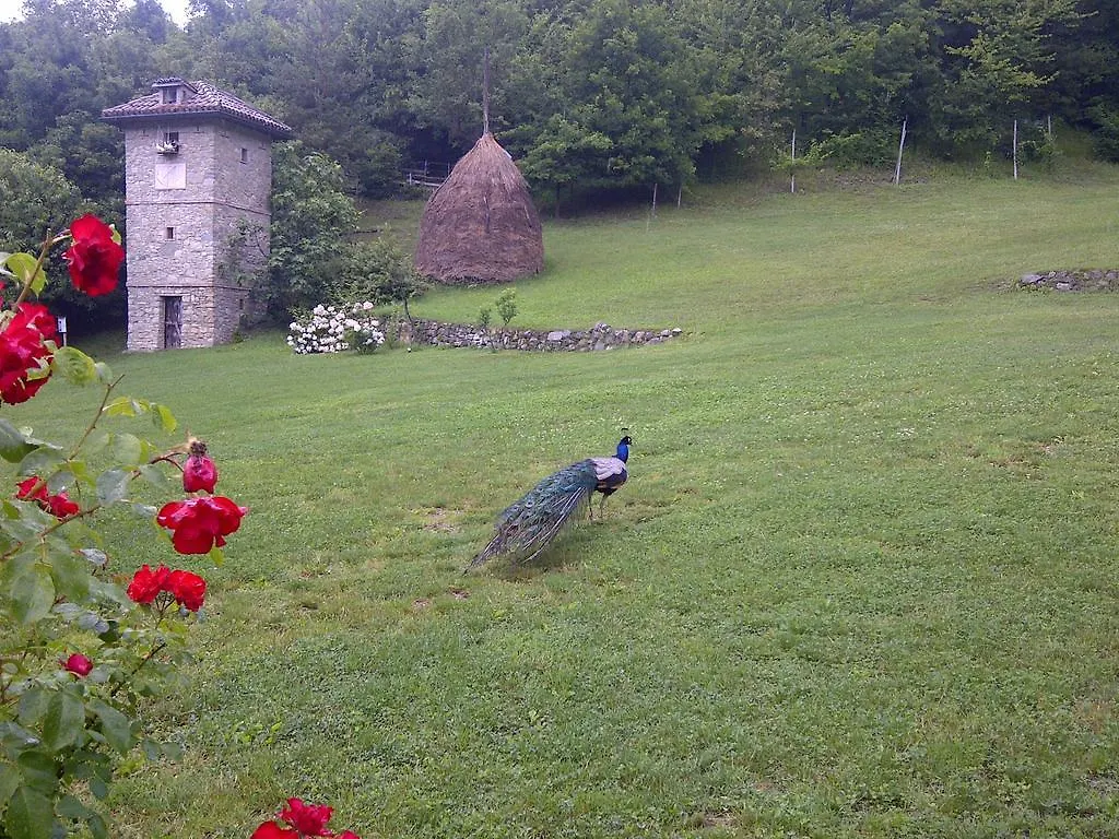 Holiday park Parco Matildico Di Montalto Hotel Cadelbosco di Sopra